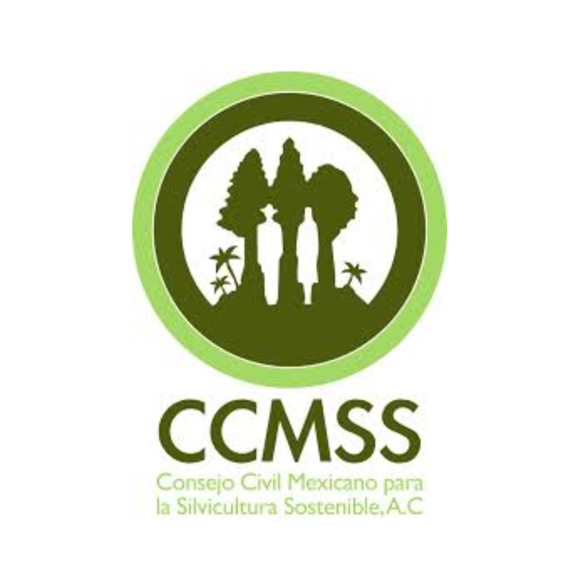CCMSS
