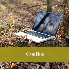 Créditos