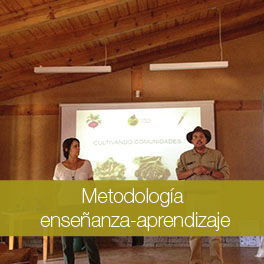 Metodología enseñanza-aprendizaje