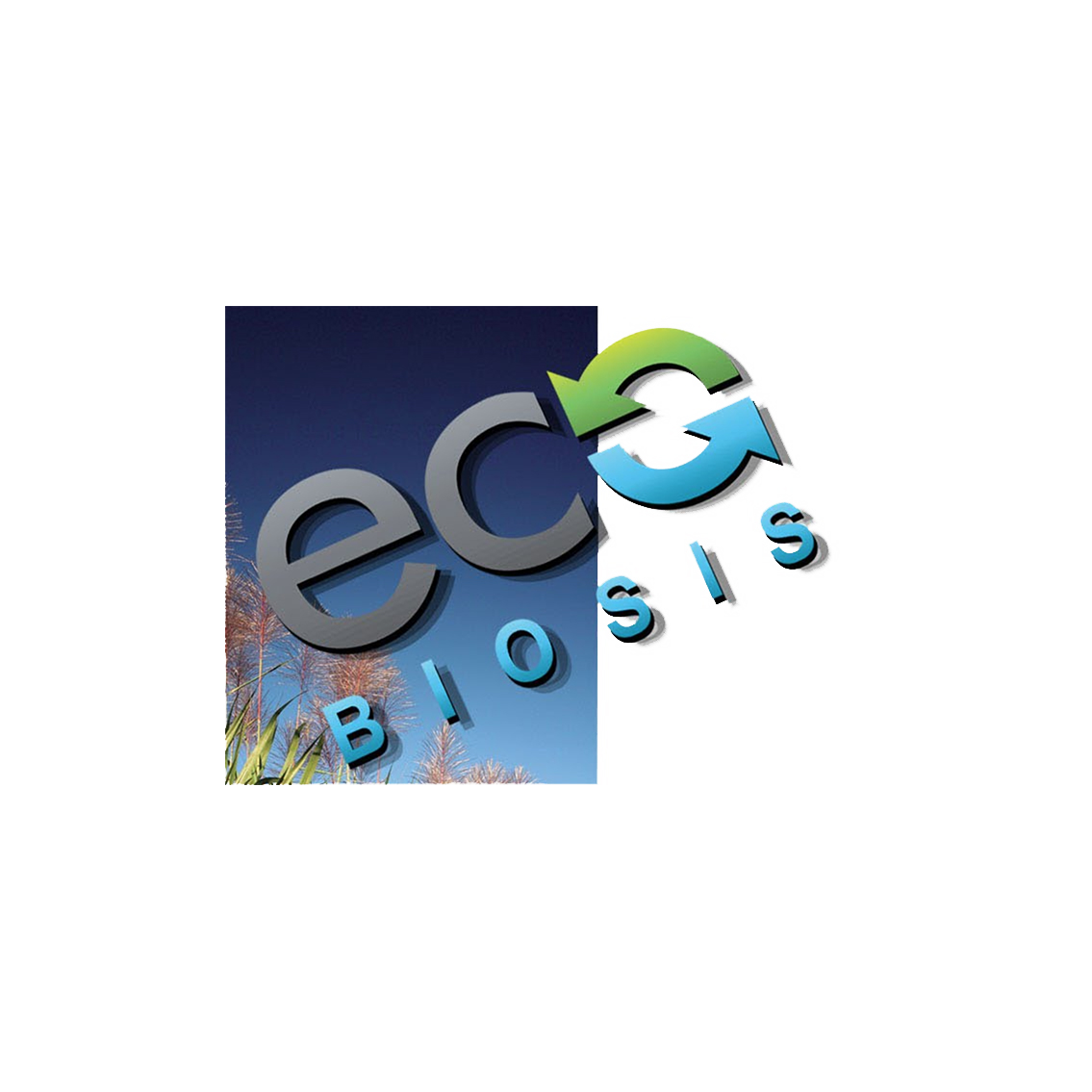 Eco Biosis SA de CV