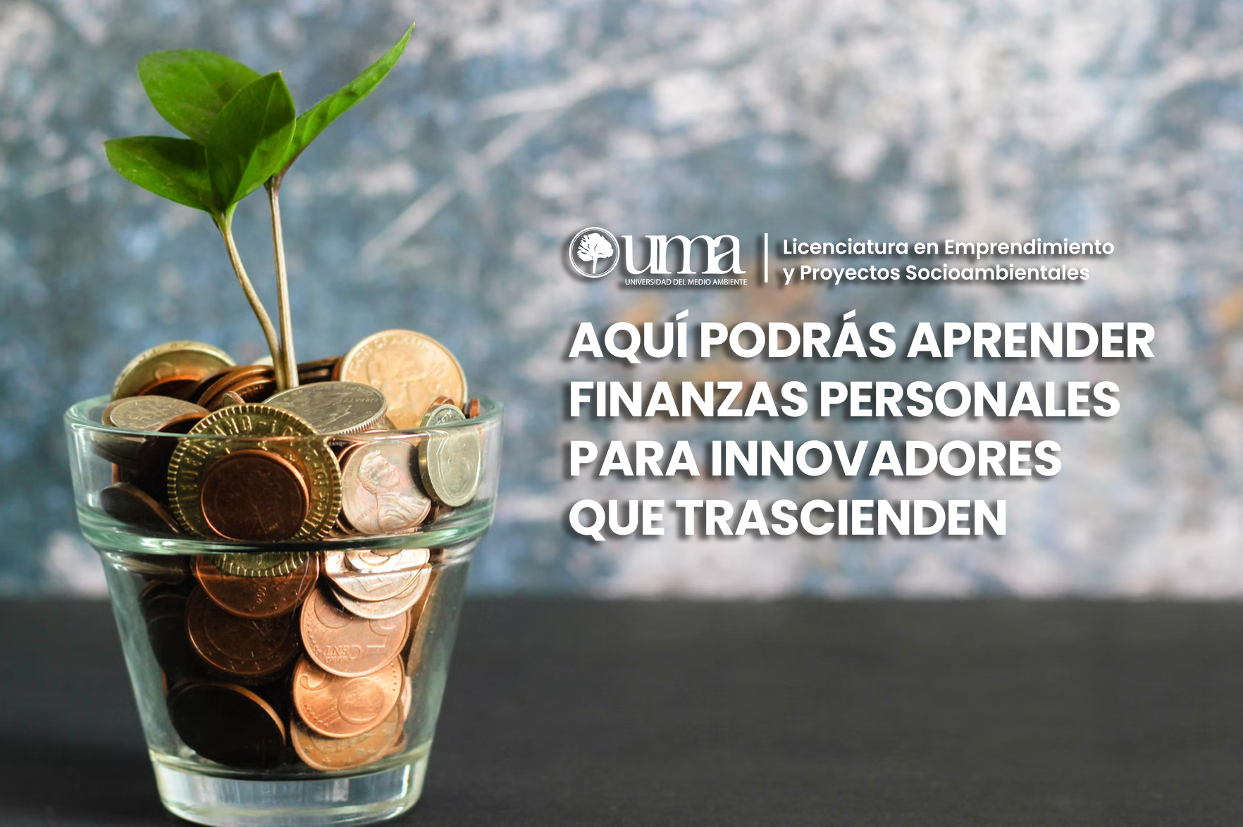 Finanzas para innovadores que trascienden