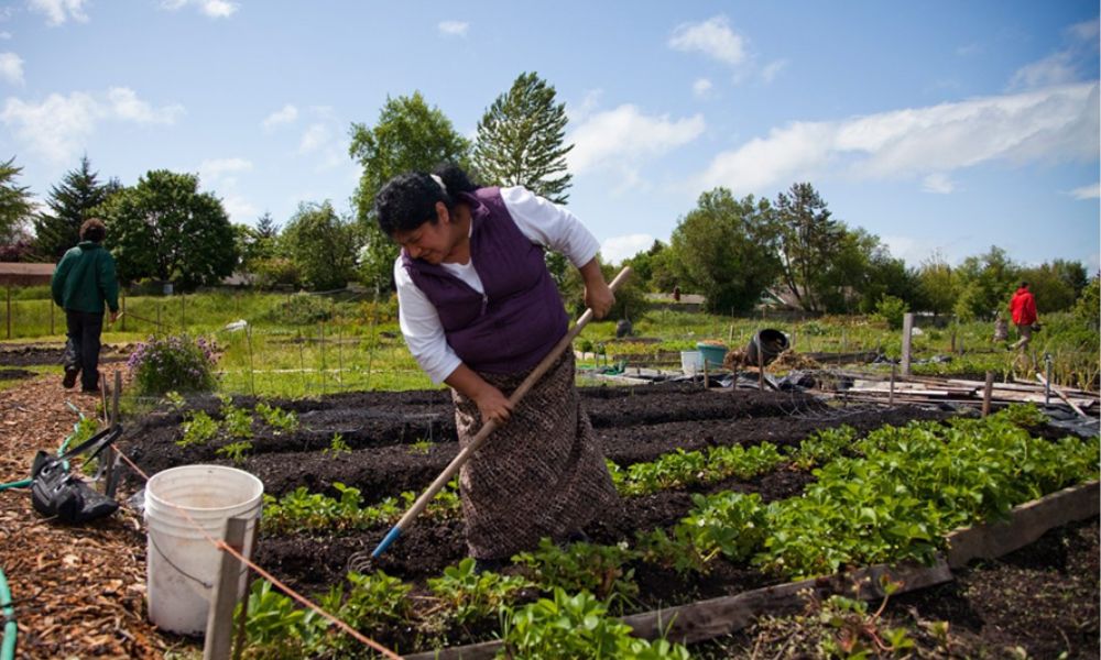 La Agroecología como ejercicio de cuidado