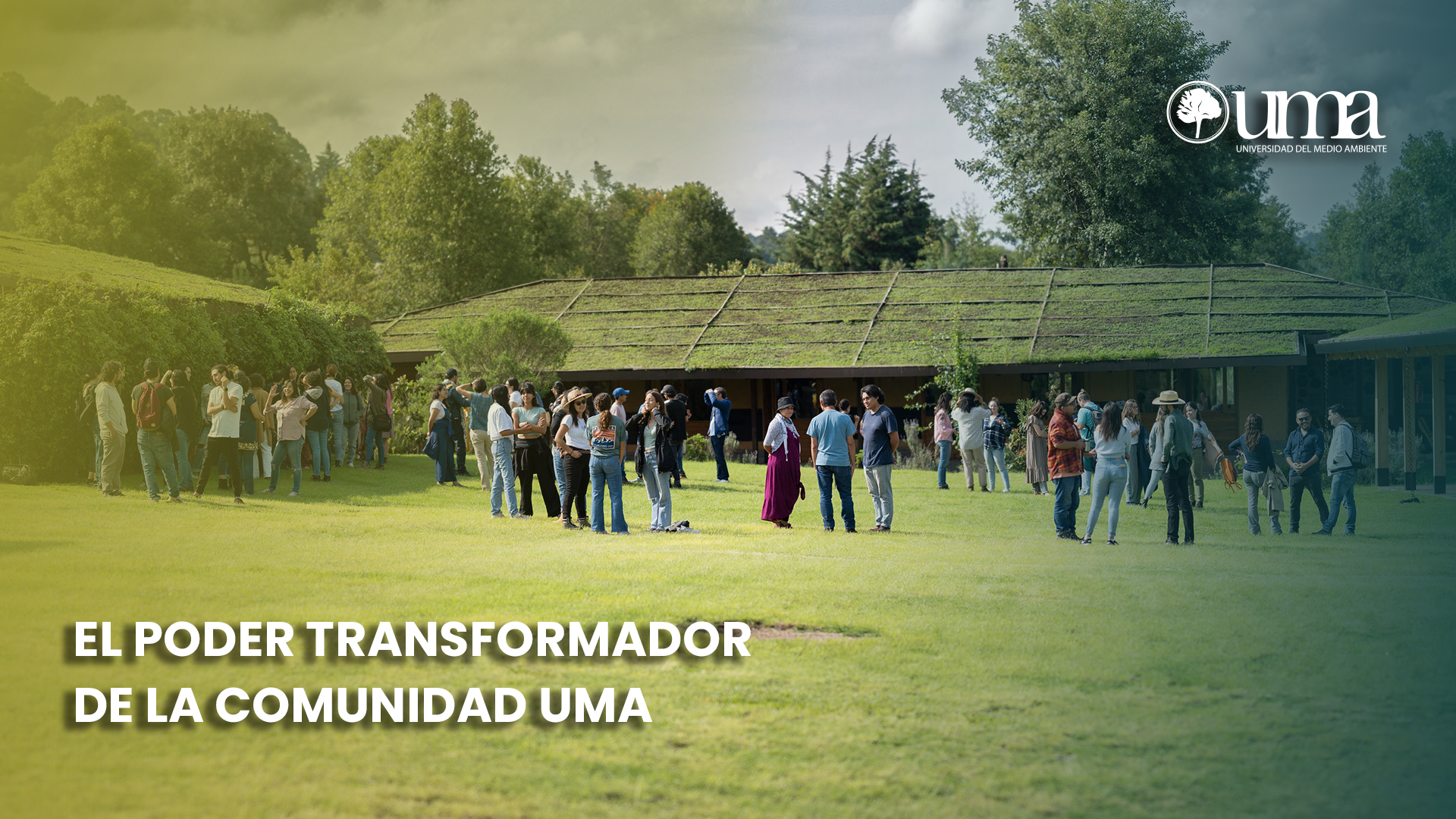 El Poder Transformador de la Comunidad UMA