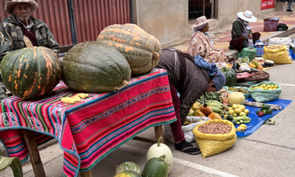 Agricultura familiar campesina: Una forma sostenible de producción de alimentos